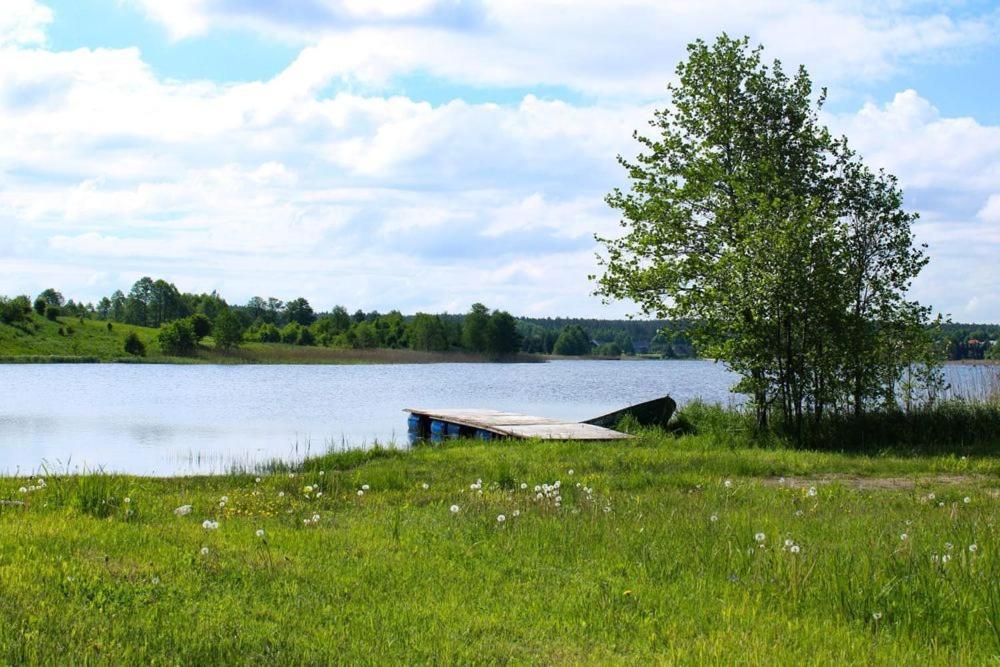 Miedzy Olchami Domek Nad Jeziorem. Noclegi Caloroczne. Cisza, Spokoj. Barczewo Kültér fotó